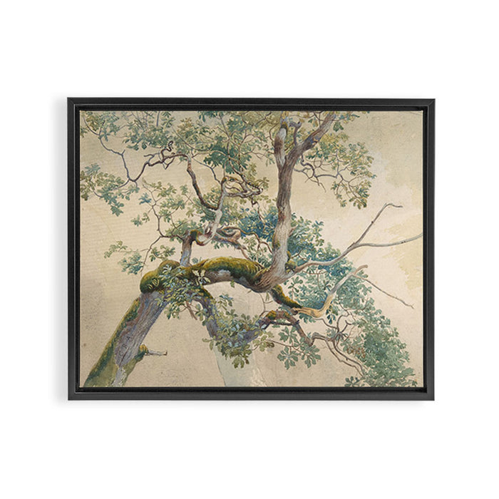 Tree Branches 1852â1908 Charles Reginald Aston Framed Canvas Print Gallery Image 1