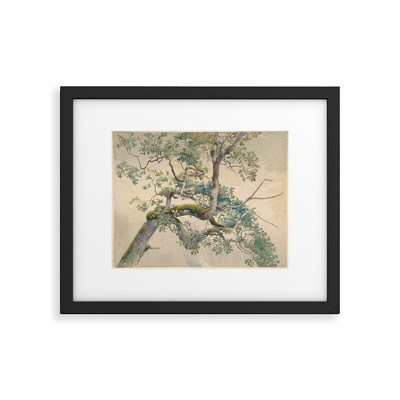 Tree Branches 1852â1908 Charles Reginald Aston Framed Art Print Gallery Image 5