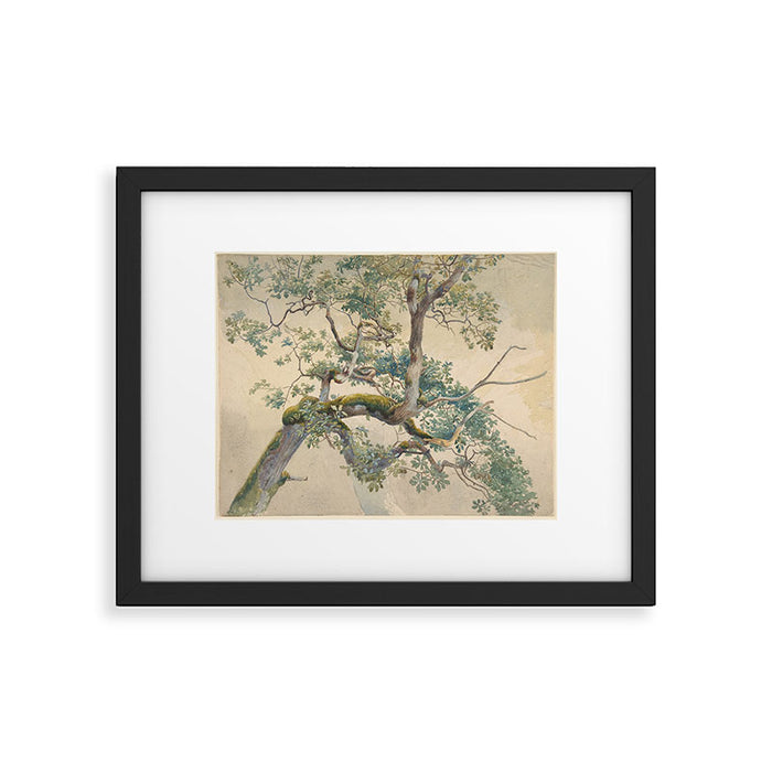 Tree Branches 1852â1908 Charles Reginald Aston Framed Art Print Gallery Image 1