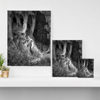 Walking In Dark Forest Divine Comedy Dante Gustave Dore Canvas Print Gallery Image 3