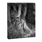 Walking In Dark Forest Divine Comedy Dante Gustave Dore Canvas Print Gallery Image 3
