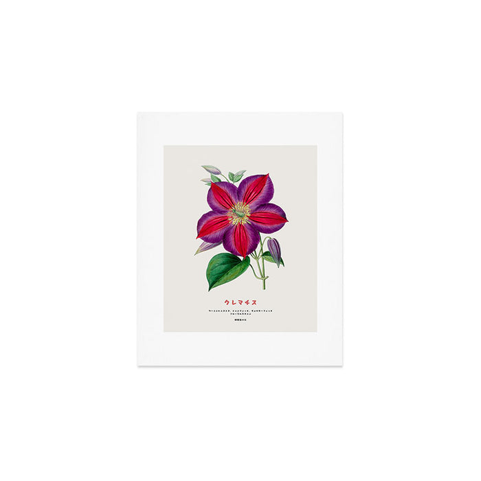 Clematis Japanese Flower Art Print Gallery Image 1