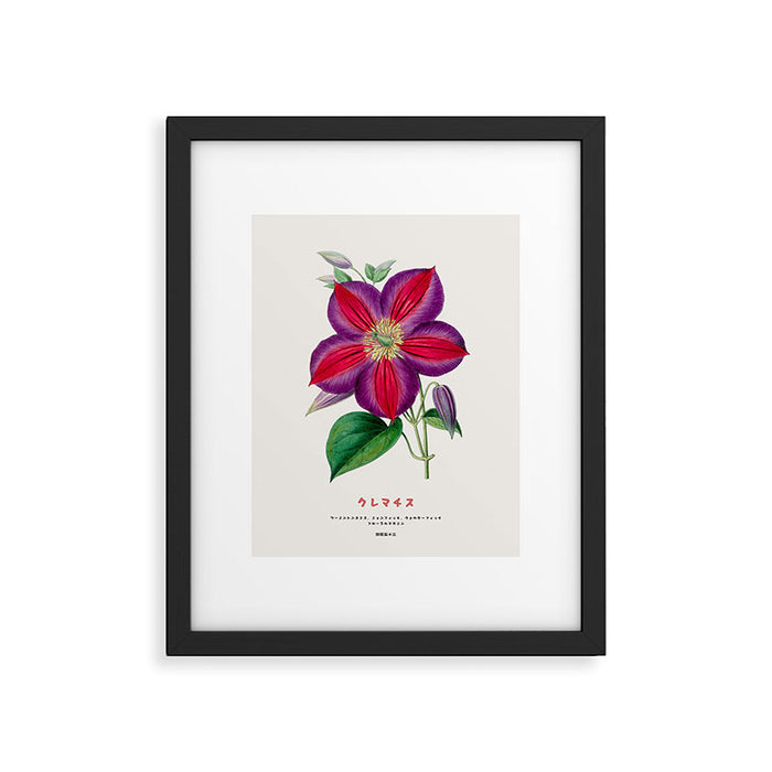 Clematis Japanese Flower Framed Art Print Gallery Image 1