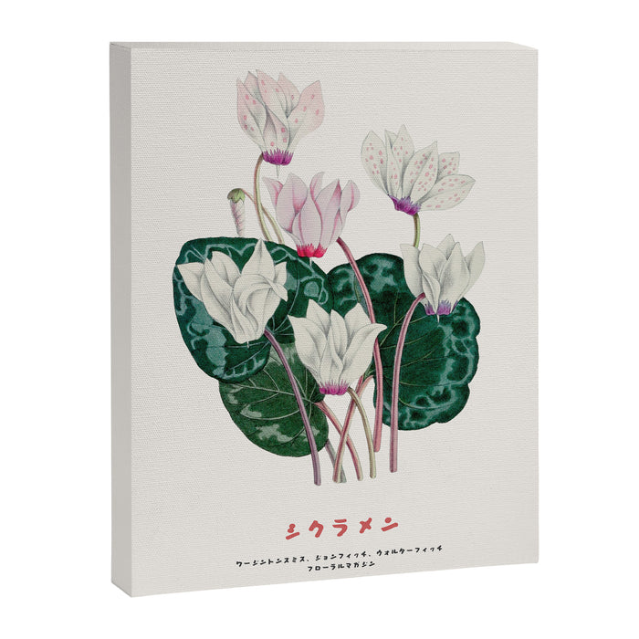 Cyclamen Flowers in Japandi style Canvas Print Gallery Image 1