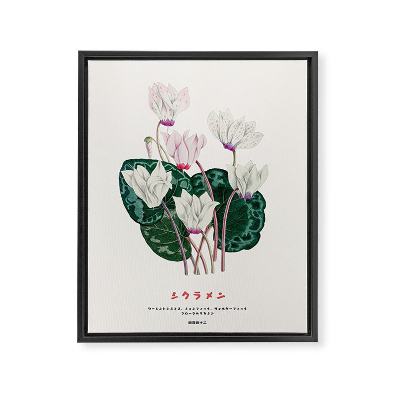 Cyclamen Flowers in Japandi style Framed Canvas Print Gallery Image 6