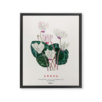 Cyclamen Flowers in Japandi style Framed Canvas Print Gallery Image 6