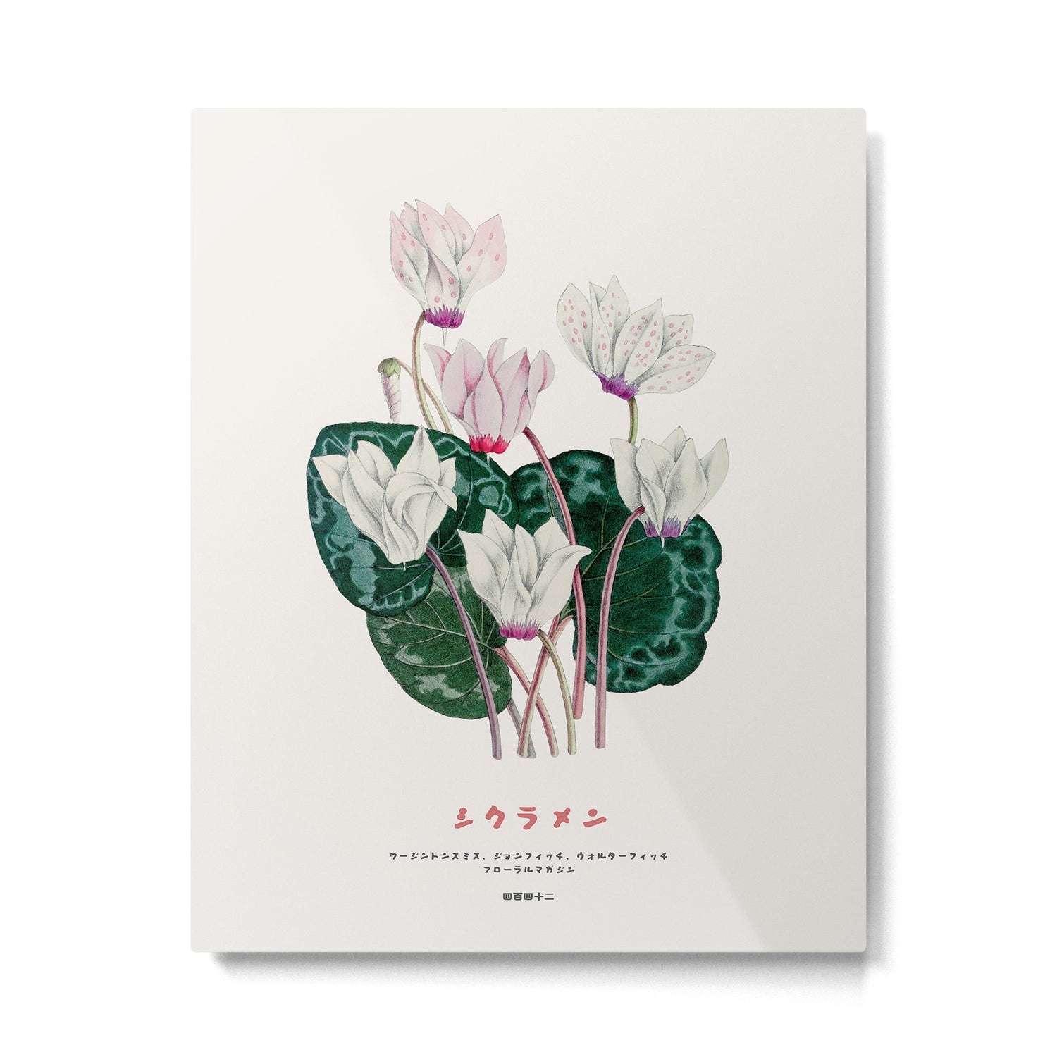 Cyclamen Flowers in Japandi style Metal Print Gallery Image 4
