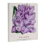 Gladiolus Japanese Botanical Chart Canvas Print Gallery Image 6