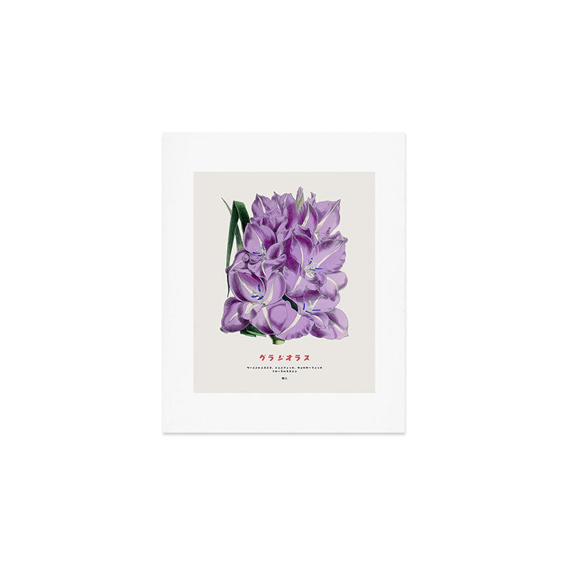 Gladiolus Japanese Botanical Chart Art Print Gallery Image 1