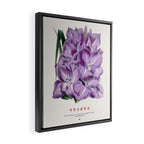 Gladiolus Japanese Botanical Chart Framed Canvas Print Gallery Image 2