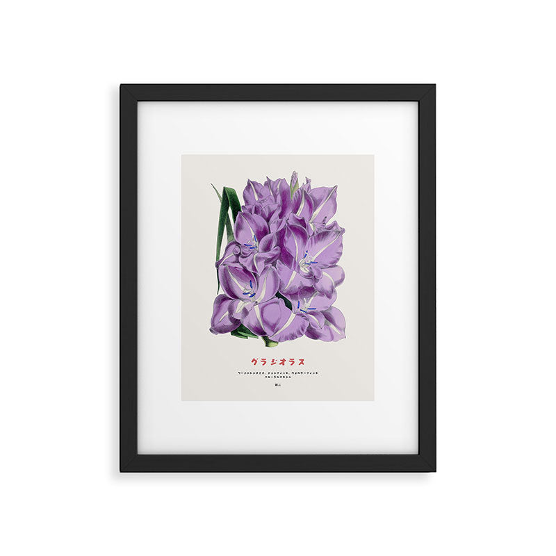 Gladiolus Japanese Botanical Chart Framed Art Print Gallery Image 5
