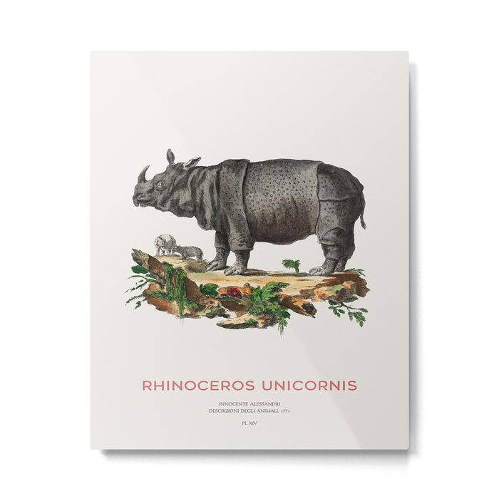 Indian Rhino Retro Art Metal Print Gallery Image 1