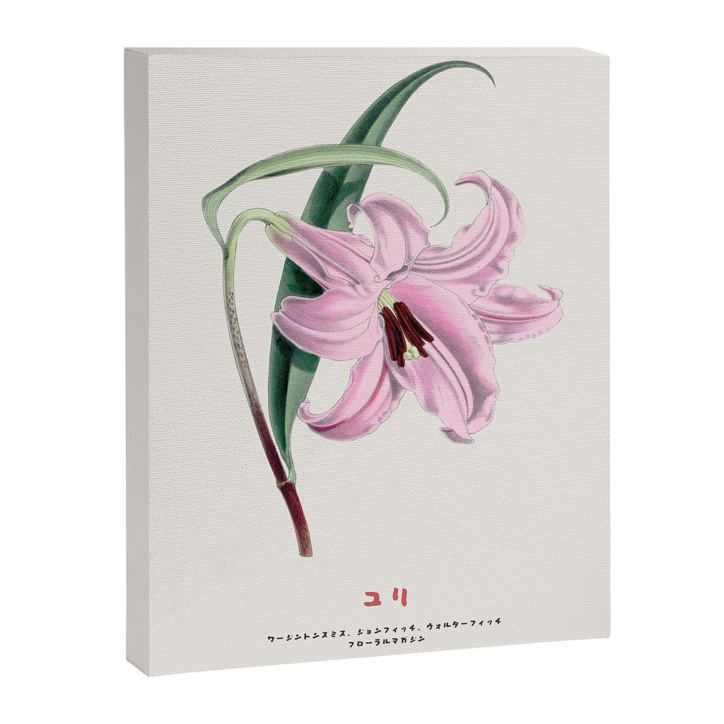 Japanese lily Canvas Print Gallery Image 6
