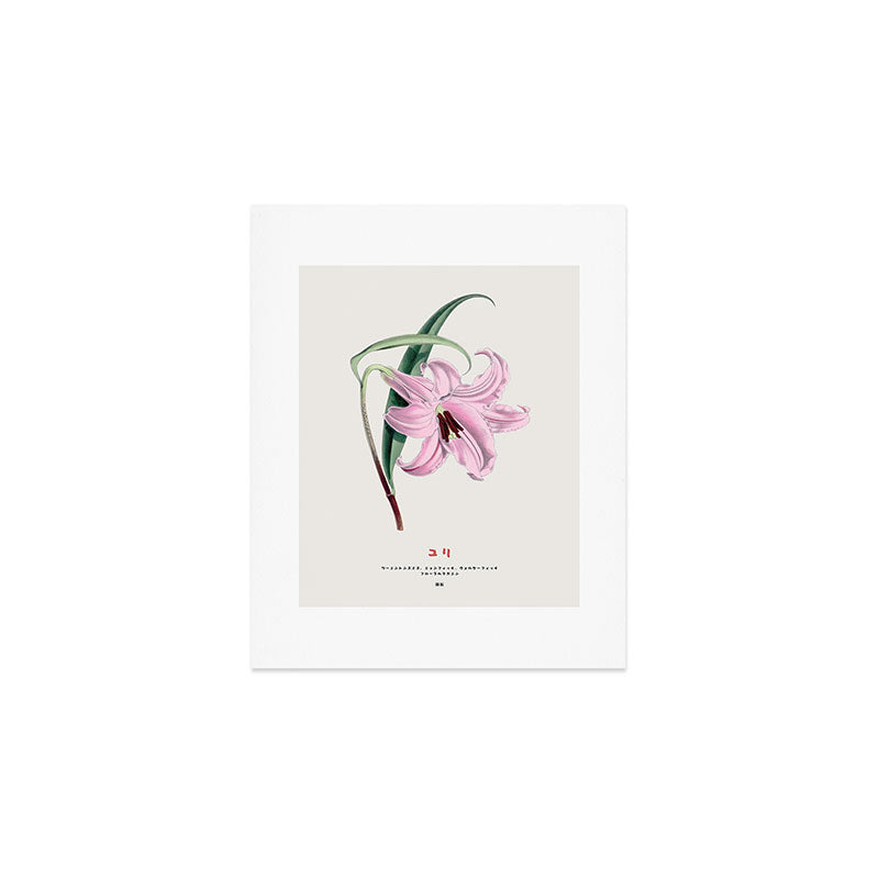 Japanese lily Art Print Gallery Image 1