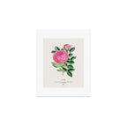 Pink Japanese Rose Art Print Gallery Image 1