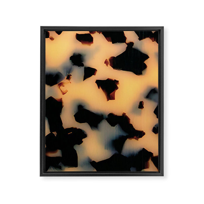 Milky Tortoise Framed Canvas Print Gallery Image 1