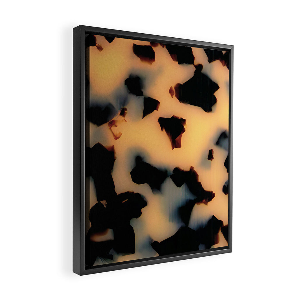 Milky Tortoise Framed Canvas Print Gallery Image 2
