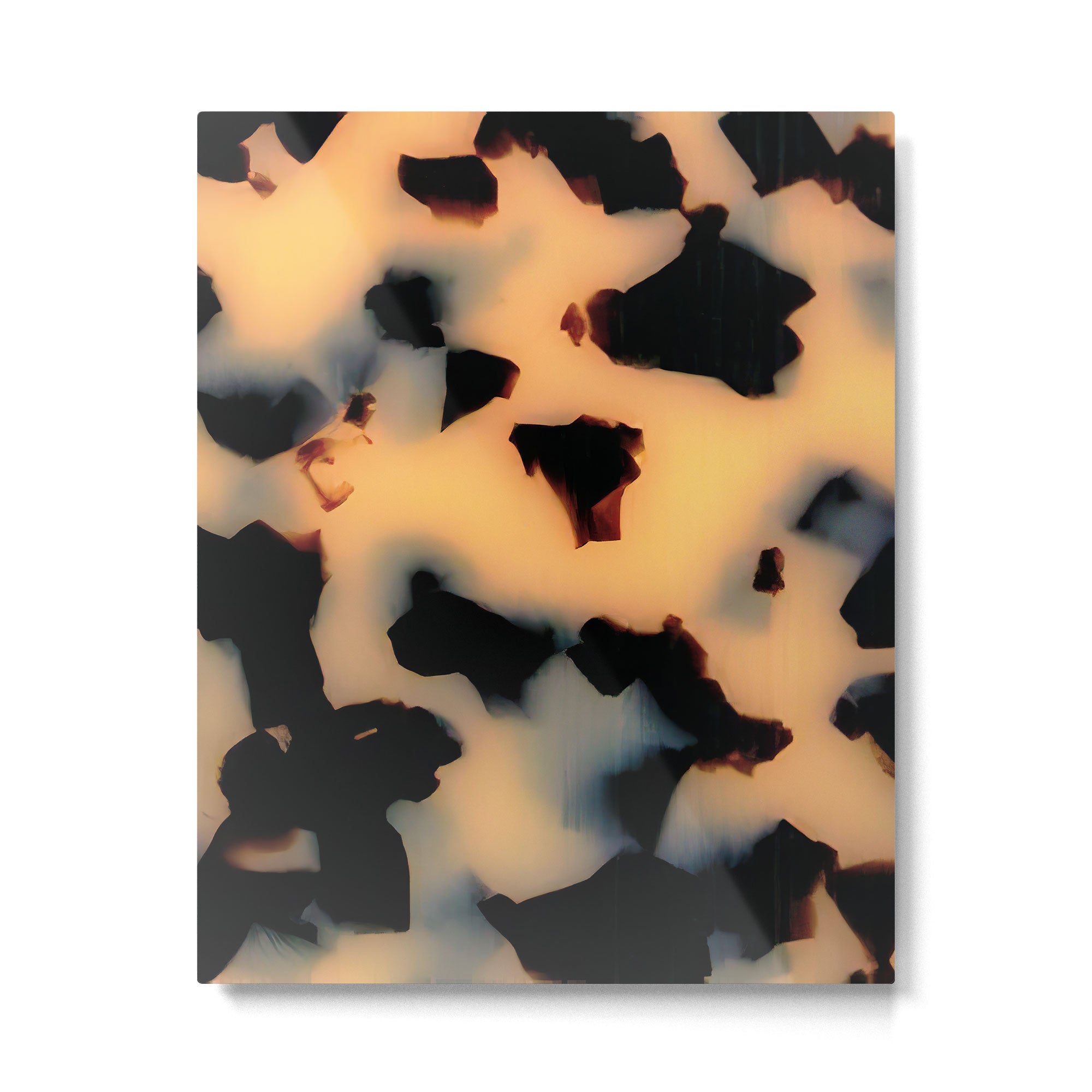 Milky Tortoise Metal Print Gallery Image 6