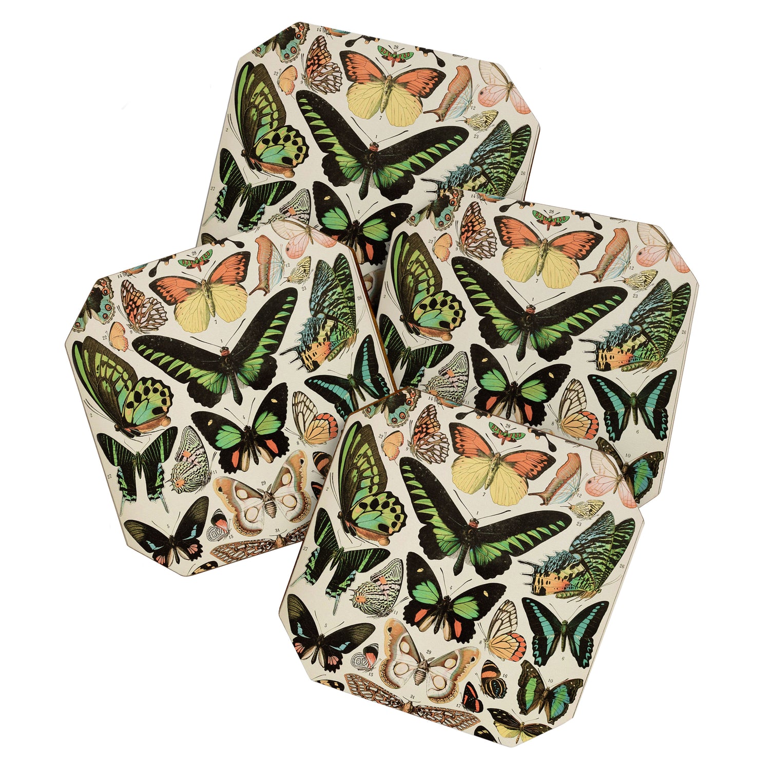 Papillon II Vintage French Butterfly Chart by Adolphe Millot Coaster Gallery Image 1