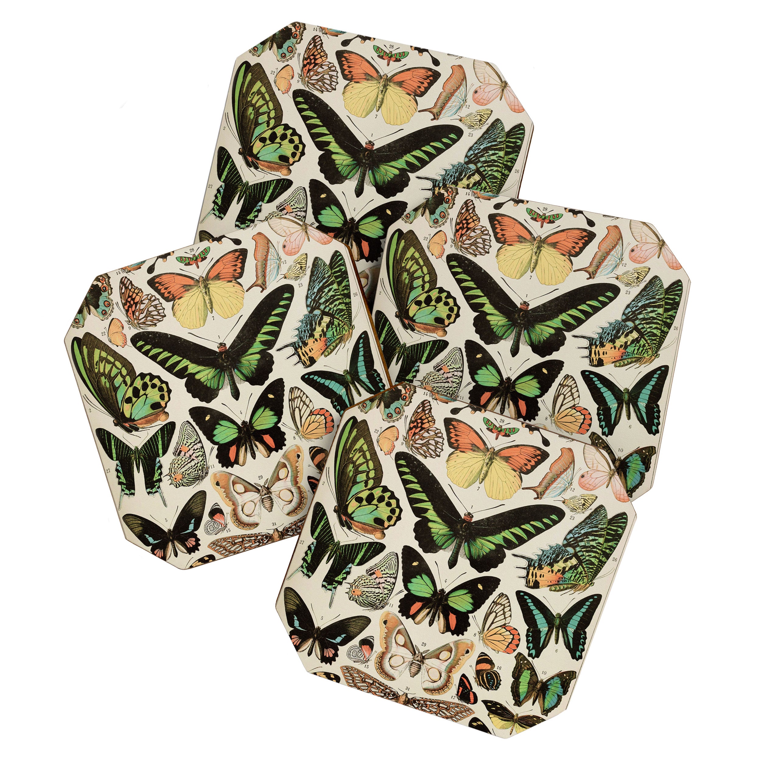 Papillon II Vintage French Butterfly Chart by Adolphe Millot Coaster Gallery Image 1