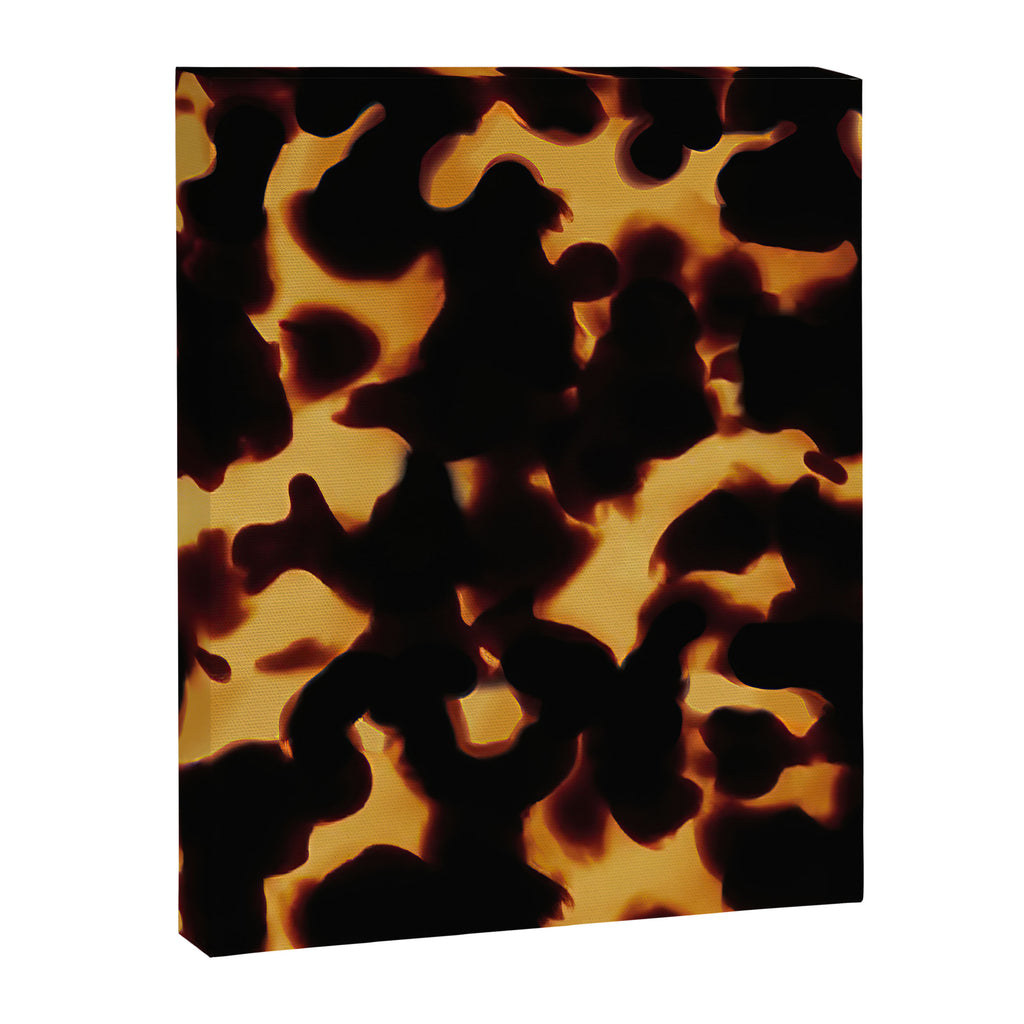 Tortoise Shell II Canvas Print Gallery Image 6
