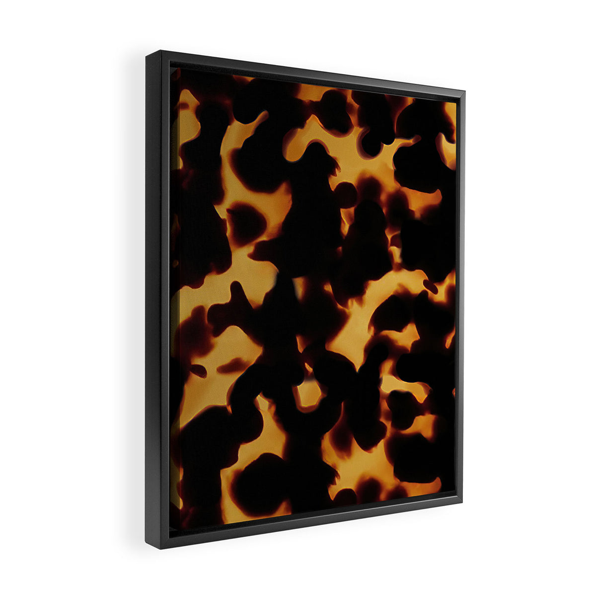 Tortoise Shell II Framed Canvas Print Gallery Image 2