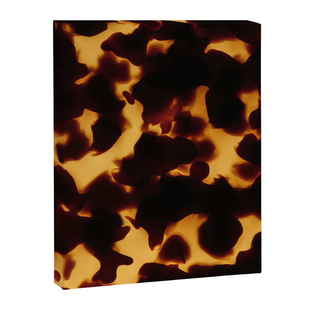 Tortoise Shell | Monarch Canvas Print Gallery Image 6