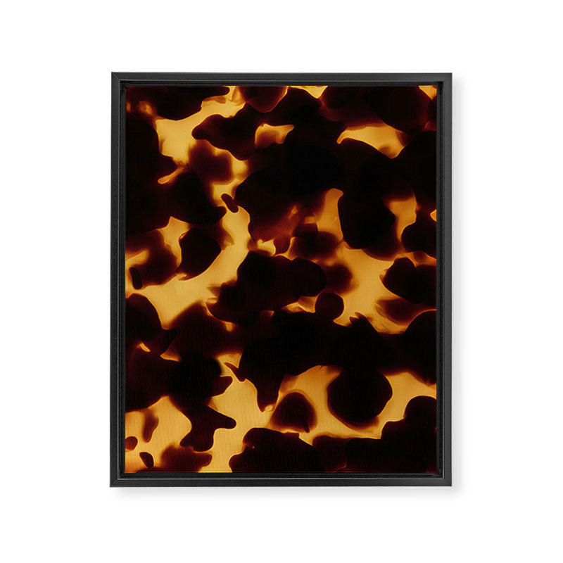 Tortoise Shell | Monarch Framed Canvas Print Gallery Image 6