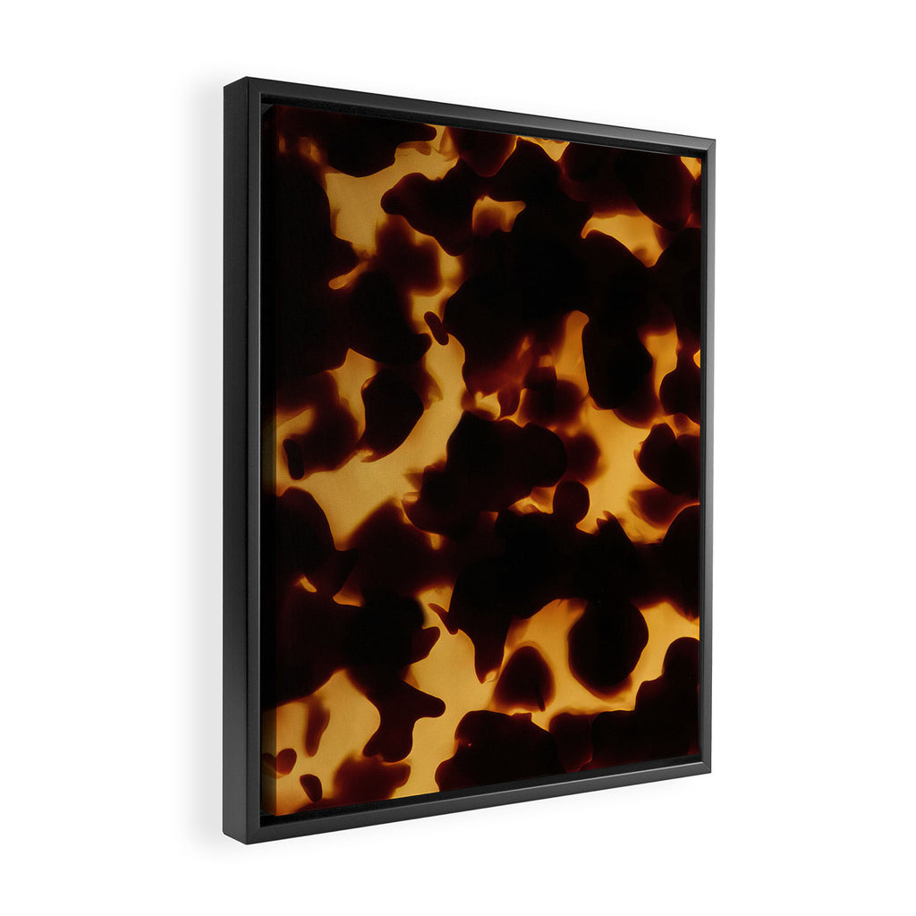 Tortoise Shell | Monarch Framed Canvas Print Gallery Image 2