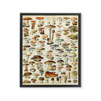 Vintage Mushroom & Fungi Chart by Adolphe Millot Framed Canvas Print Gallery Image 6