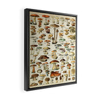 Vintage Mushroom & Fungi Chart by Adolphe Millot Framed Canvas Print Gallery Image 2