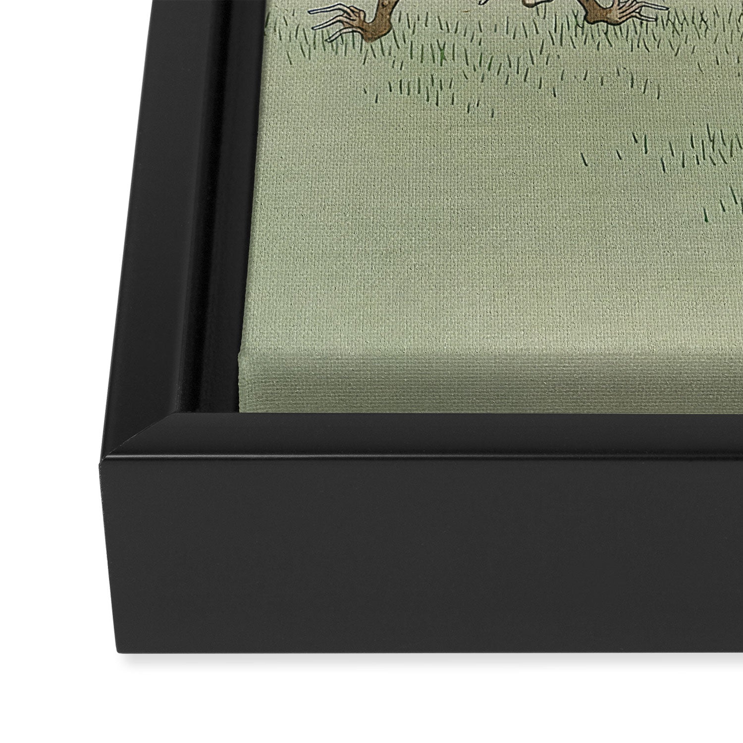 Frog Sumo - Ohara Koson Framed Canvas Print Gallery Image 3
