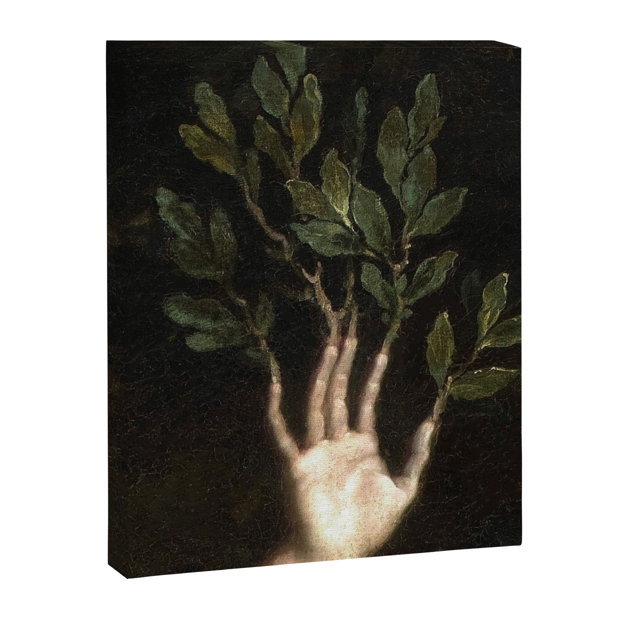 René-Antoine Houasse - Apollo et Daphne (detail) Canvas Print Gallery Image 6
