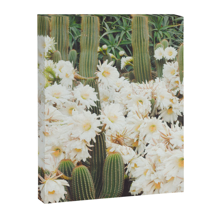 Cactus and Flowers Canvas Print Gallery Image 1