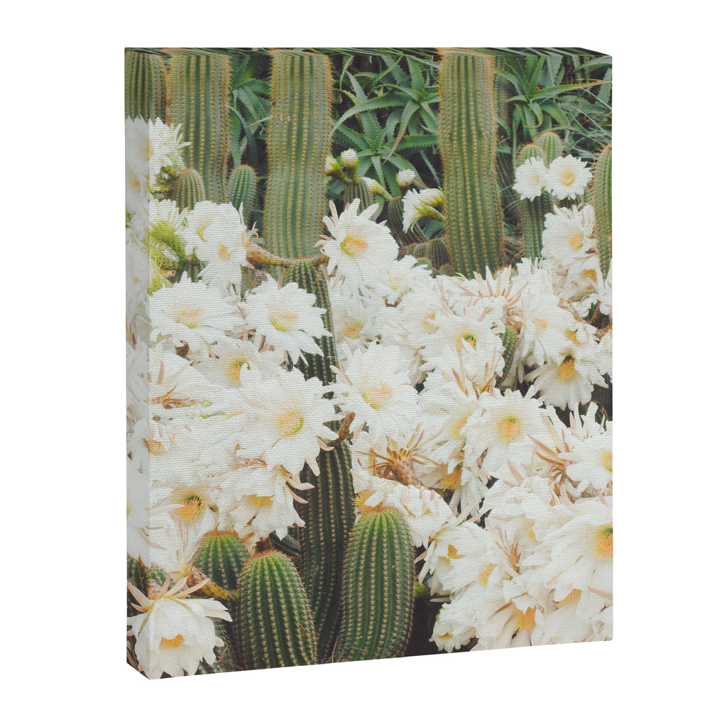 Cactus and Flowers Canvas Print Gallery Image 6