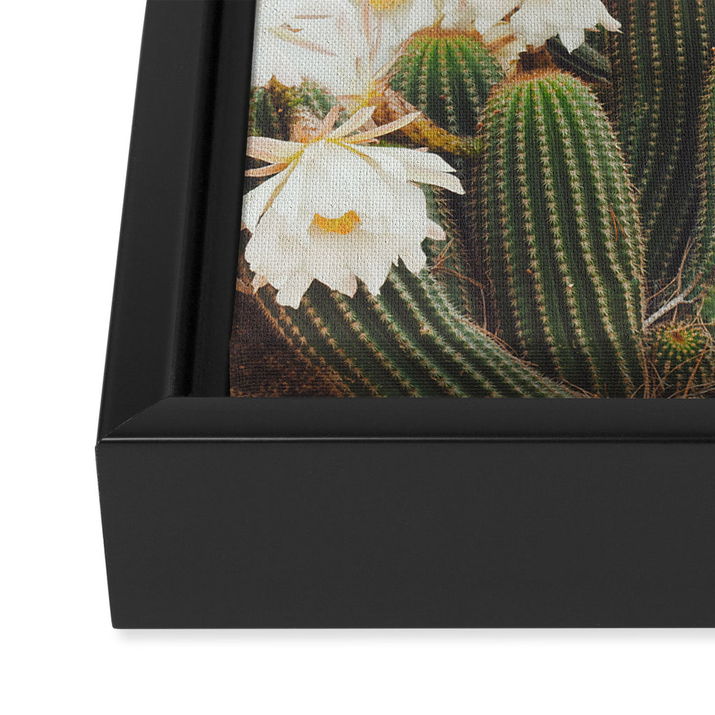 Cactus and Flowers Framed Canvas Print Gallery Image 3