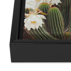 Cactus and Flowers Framed Canvas Print Gallery Image 3