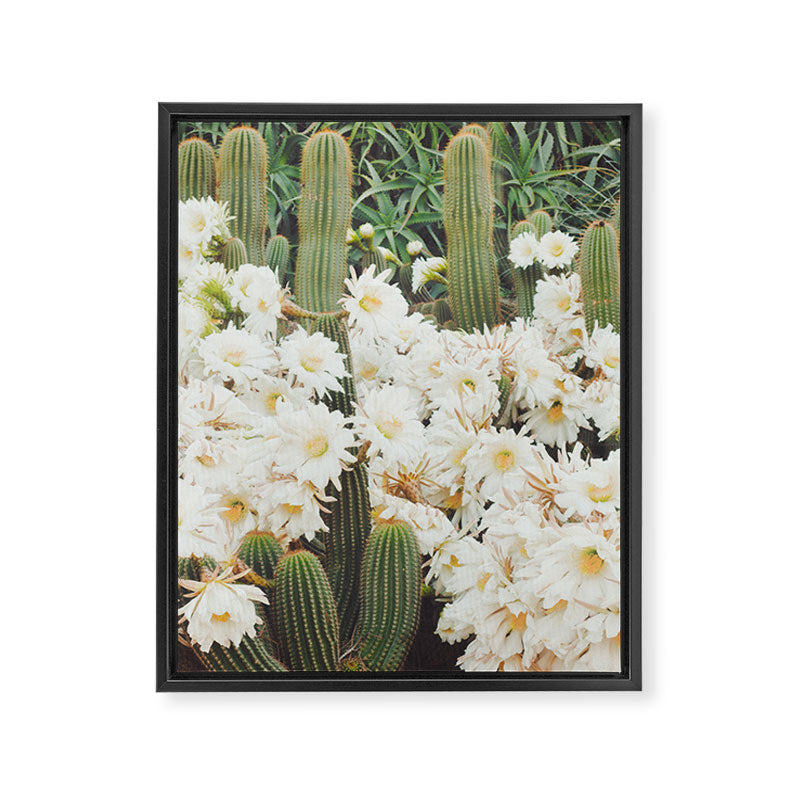 Cactus and Flowers Framed Canvas Print Gallery Image 6