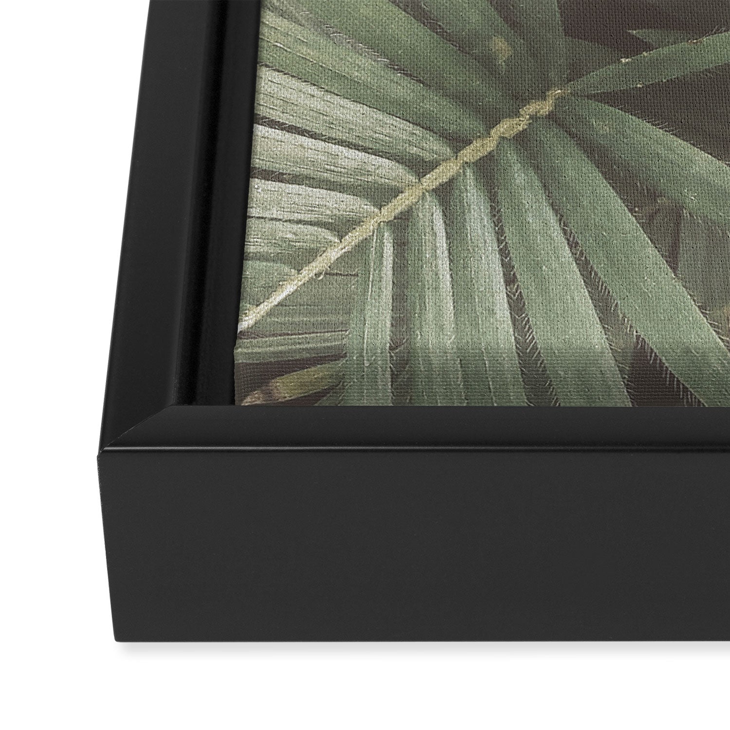 Tropical Leaves Framed Canvas Print Gallery Image 3