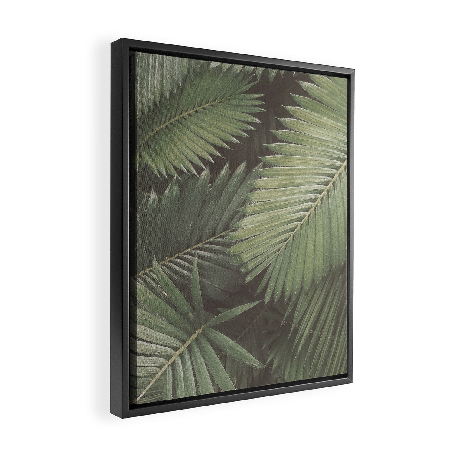 Tropical Leaves Framed Canvas Print Gallery Image 2