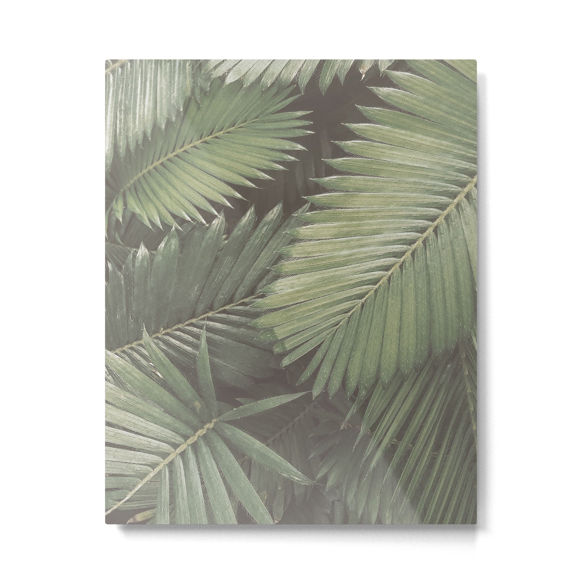 Tropical Leaves Metal Print Gallery Image 4