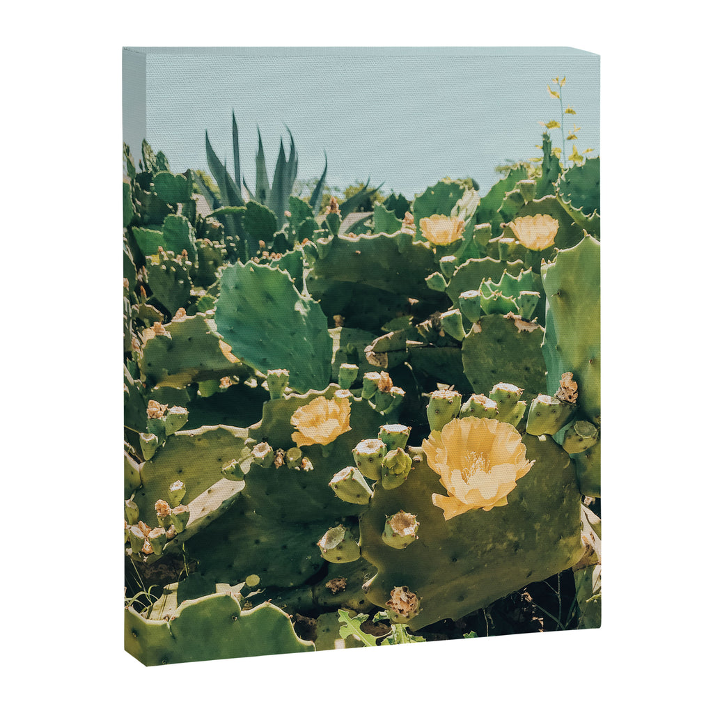 A Field of Prickly Pear Cactus Canvas Print Gallery Image 6