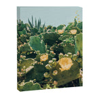 A Field of Prickly Pear Cactus Canvas Print Gallery Image 6