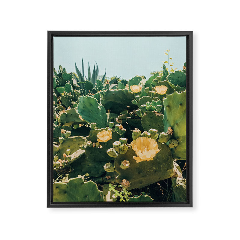 A Field of Prickly Pear Cactus Framed Canvas Print Gallery Image 6