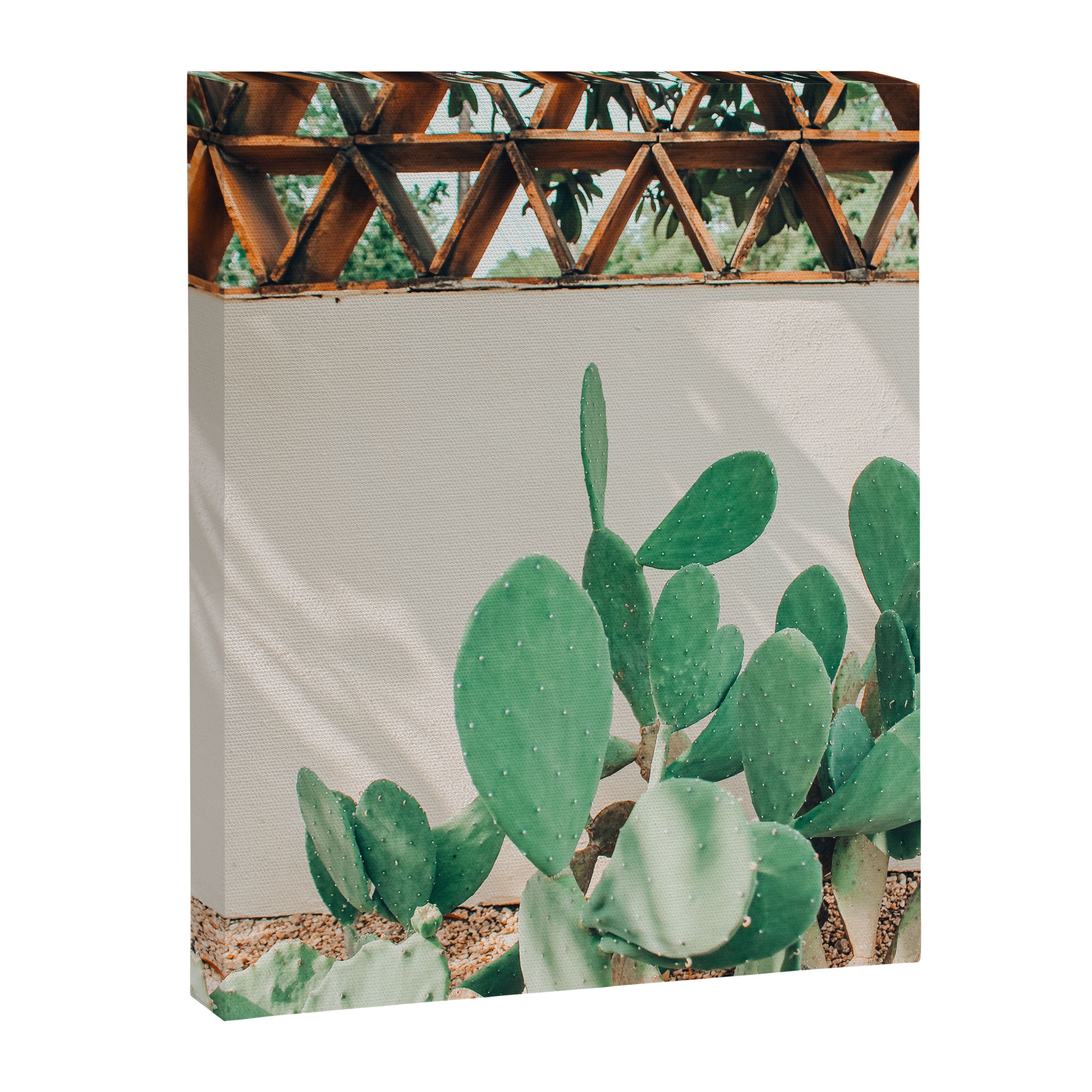 Breezy Prickly Pear  Canvas Print Gallery Image 6