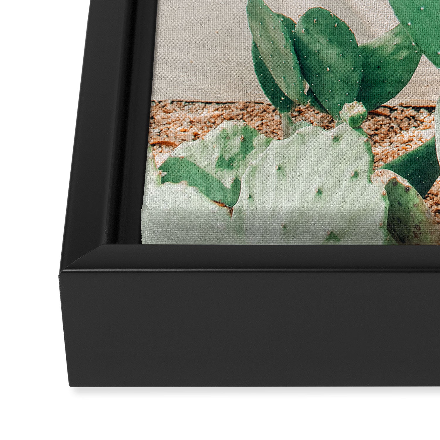 Breezy Prickly Pear  Framed Canvas Print Gallery Image 3