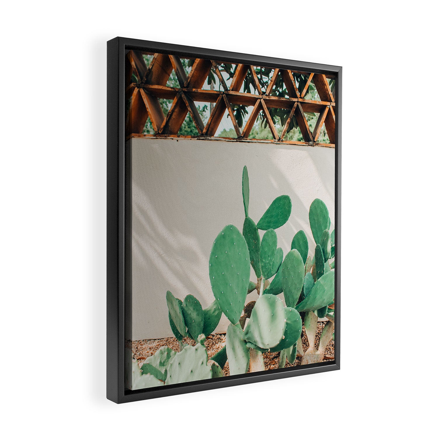 Breezy Prickly Pear  Framed Canvas Print Gallery Image 2