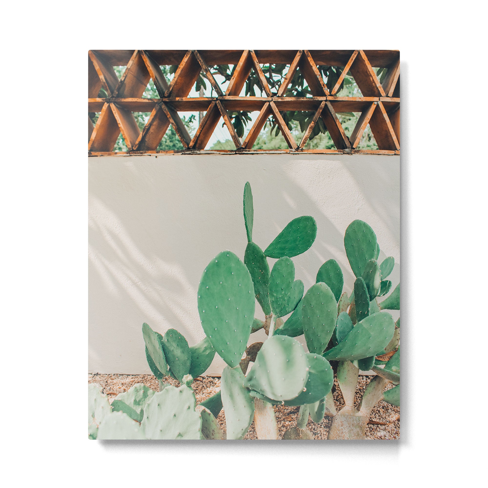Breezy Prickly Pear  Metal Print Gallery Image 4