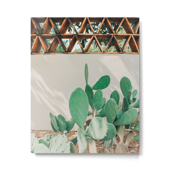 Breezy Prickly Pear  Metal Print Gallery Image 1