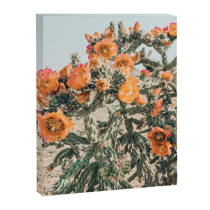 Cholla, Orange Flowering Cactus Canvas Print Gallery Image 1